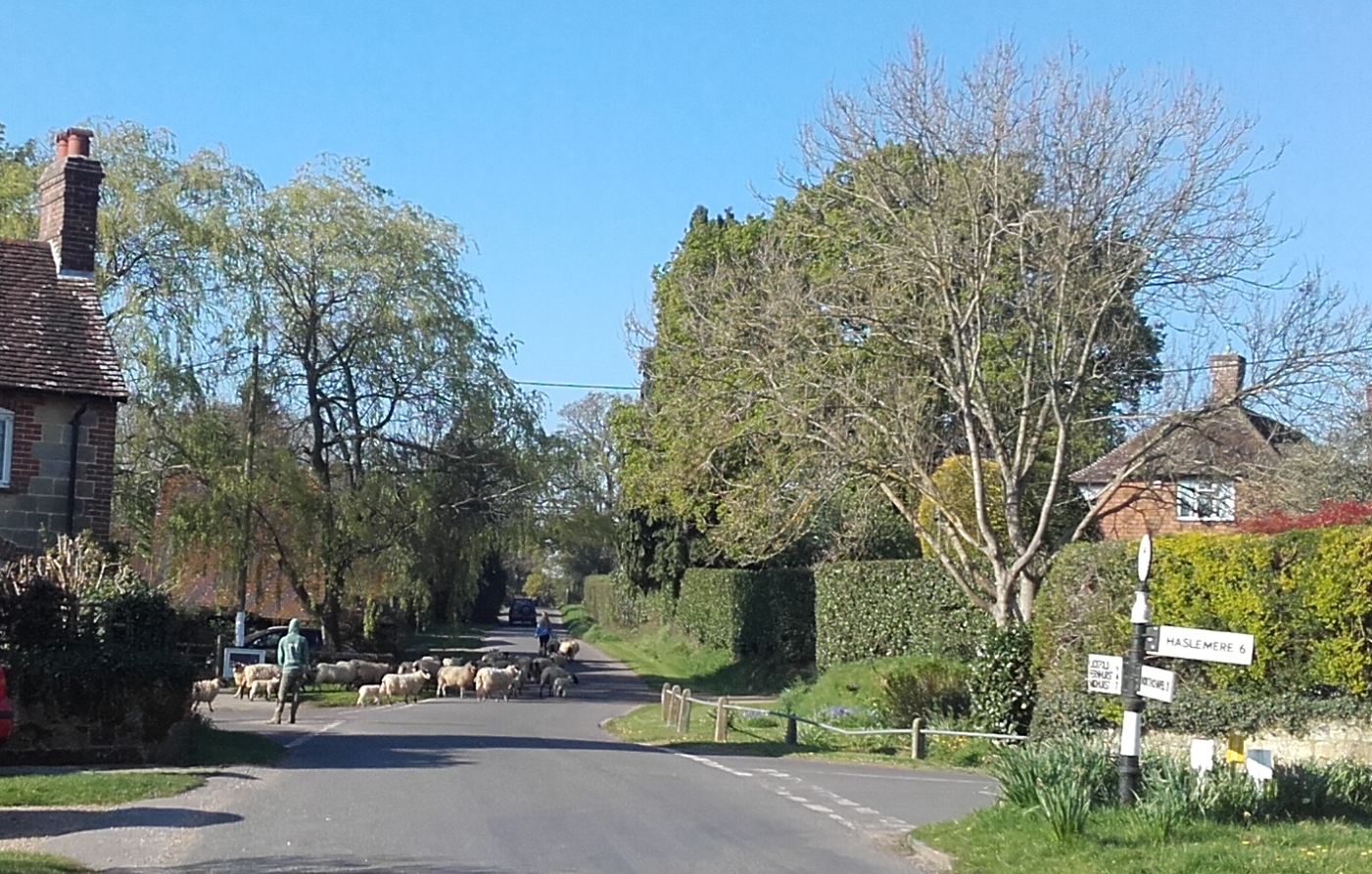 Lurgashall spring